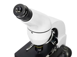 Микроскоп Levenhuk Rainbow D50L PLUS, 2 Мпикс, Moonstone\Лунный камень, изображение 9