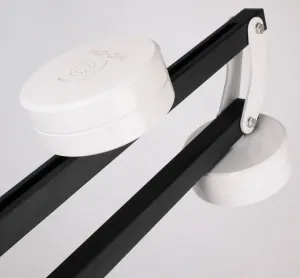 Противовес Asterion Parabino HD-CW для монтировки Parabino HD, изображение 2