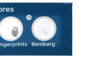 Набор микропрепаратов Levenhuk Discovery «Флора», 12 шт., изображение 5