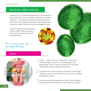 Книга знаний «Невидимый мир», изображение 4