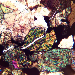 Микроскоп поляризационный MAGUS Pol 890, изображение 24